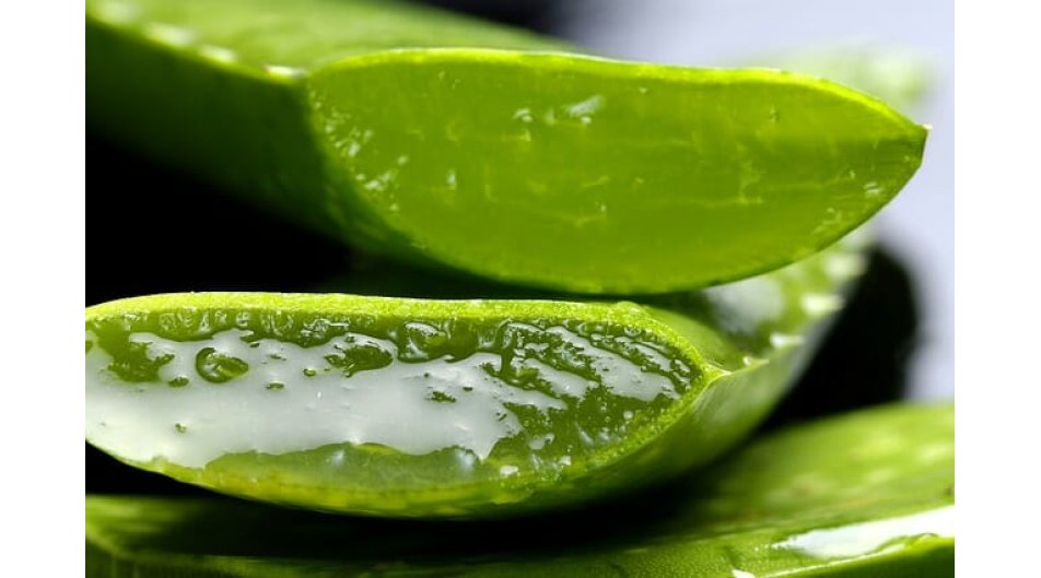 Aloe vera: proprietà, benefici e caratteristiche