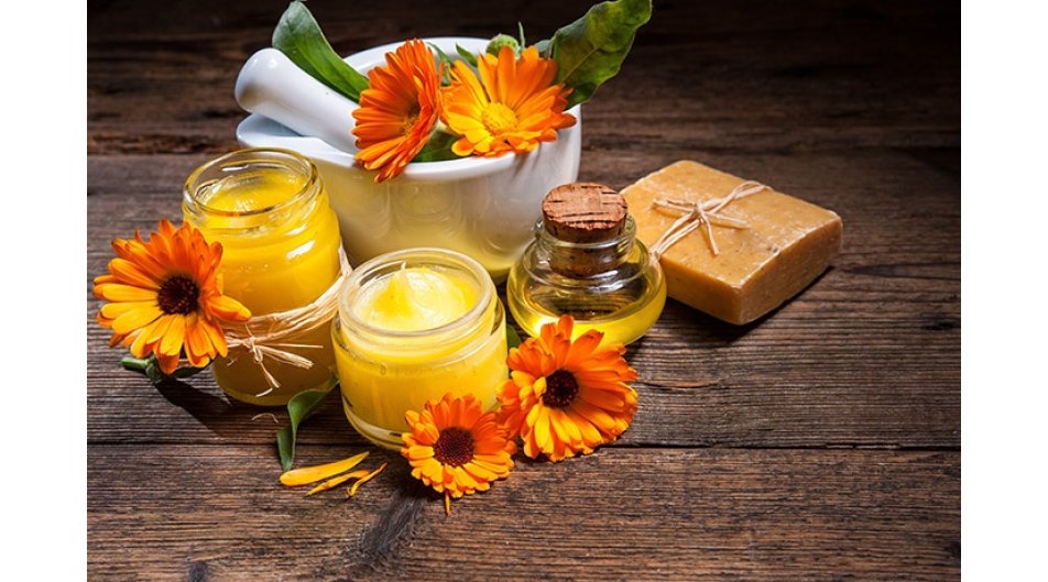 Calendula: benefici e proprietà curative della pianta erbacea originaria del Nord Africa