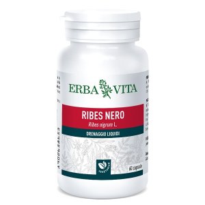 RIBES NERO 60 Cps 450mg    EBV