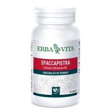 SPACCAPIETRA 60 Cps 350mg  EBV