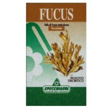 FUCUS 150 Tav.SPECCH.