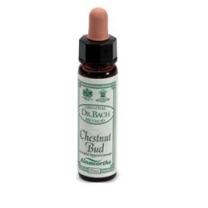 AINSWORTHS CHESTNUT BUD 10ML