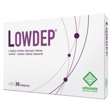 LOWDEP 30 Cpr 1000mg