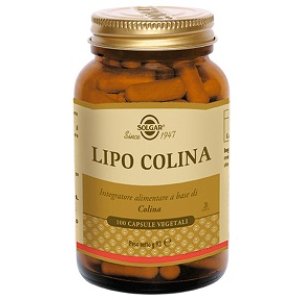 LIPO COLINA 100 Cps 100mgSOLGA