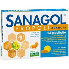 SANAGOL Propoli 24 Car.Ar.S/Z