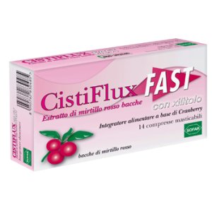 CISTIFLUX Fast 14 Cpr mast.