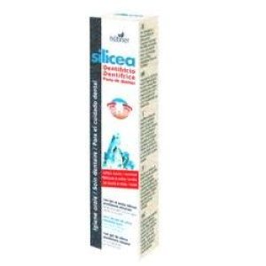 HUBNER DENTIF SILIC S/MENTA 50G