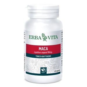 MACA 60 Cps 400mg          EBV