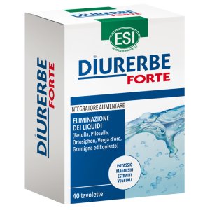 DIURERBE Forte 40 Tav.1200mg