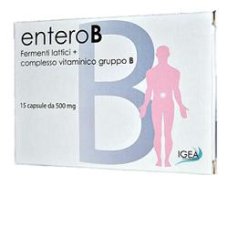 ENTEROB 15CPS 500MG