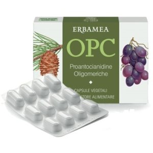 OPC 24CPS VEG S/GL 500MG ERBAMEA