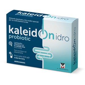 KALEIDON Idro 6 Bust.