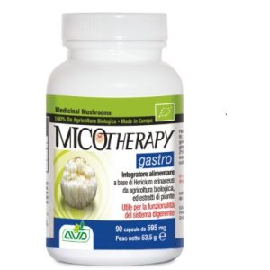 MICOTHERAPY GASTRO 90Cps AVD