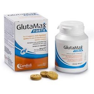 GLUTAMAX Fte  40 Cpr