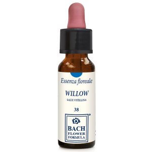 WILLOW ORIGINAL 10ML GTT