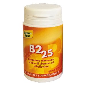 B2  25 60 Cps N-P