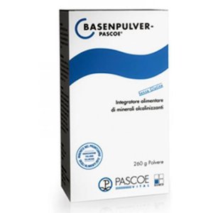 BASEN PULVER Polv.260g