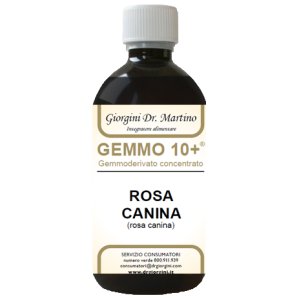 ROSA CANINA LIQ ANAL GEMMO 10+