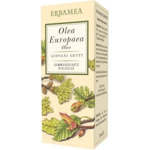 OLEA EUROPEA OLIVO 50ML