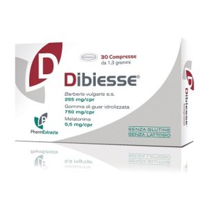 DIBIESSE 30 Cpr