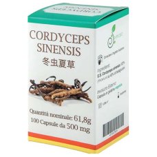 CORDYCEPS 100CPS