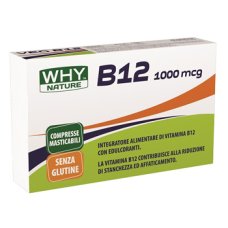 WHYNATURE B12 1000MCG 80CPR