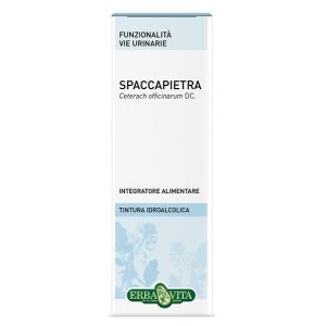 SPACCAPIETRA TINT IAL 50ML EBV