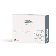 CEBRAL 14 Bust.