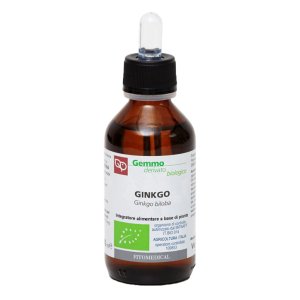 GINKGO BILOBA MG BIO 100ML