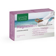LIGNE MG B6+ACH+ANG+PAST+LAM LIGNE MG B6+ACH+ANG+PAST+LAM