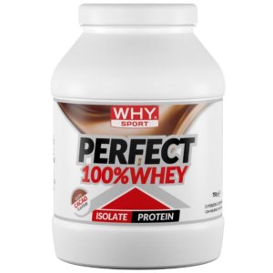 PERFECT 100%WHEY CACAO 900G