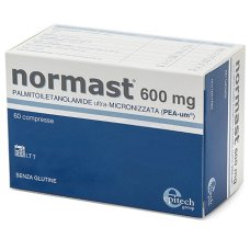 NORMAST 600mg 60 Cpr