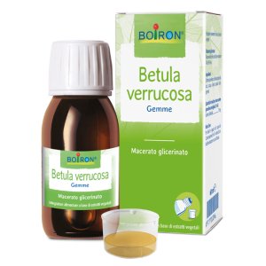 BO.BETULA VER.GEMME 1DH 60ml