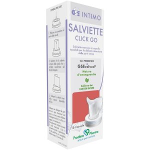 GSE INTIMO SALVIETTE CLICK GO