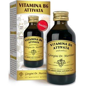 VITAMINA B 6 Att.Liq.100ml SVS