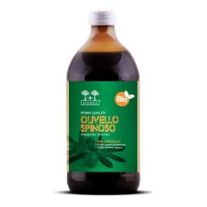 SALUGEA SUCCO OLIVELLO BIO