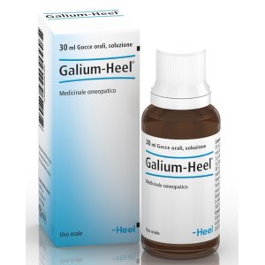 GALIUM Gtt 30ml HEEL