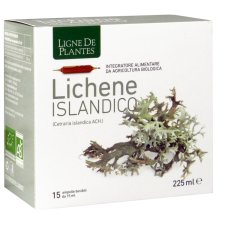 LICHENE ISLANDICO 15AMPX15ML