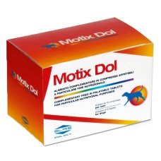 MOTIX DOL 1000 MG 120 CPR