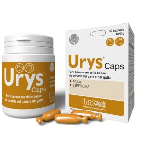 URYS CAPS 30 Cps