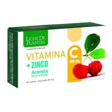 VITAMINA C 500MG+ZI/AC/BA60CPS