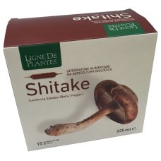 LIGNE SHITAKE BIO 15AMP 15ML