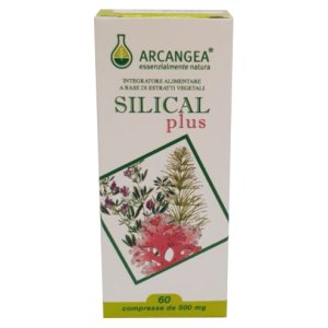 SILICAL PLUS 60CPR