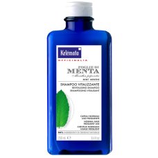 SHAMPOO MENTA 250ML