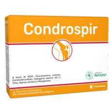 CONDROSPIR 14 Bust.