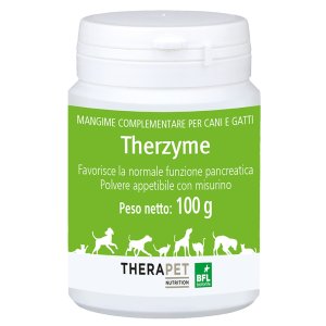 THERZYME Polv.100g