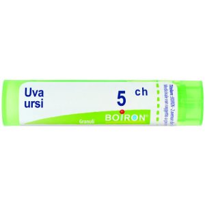 UVA URSI 5CH GR BO