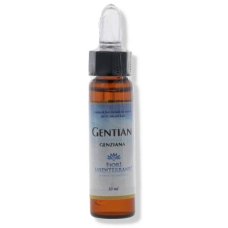 GENTIAN FIORI MEDITER 10ML