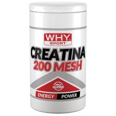WHYSPORT CREATINA 200 MESH500G