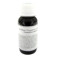 LVS 07N Solidago Virg.Comp.